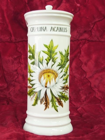 Kép Gyógynövényes tégely - Carlina Acanlis