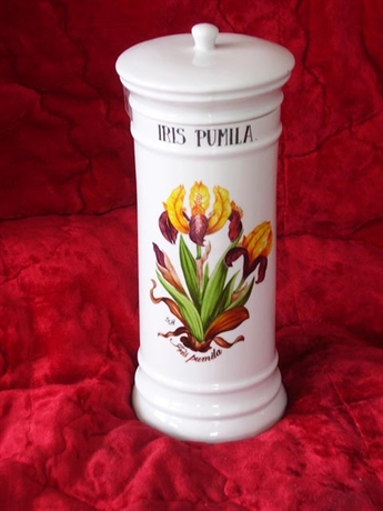 Kép Gyógynövényes tégely - Iris Pumila (sárga)