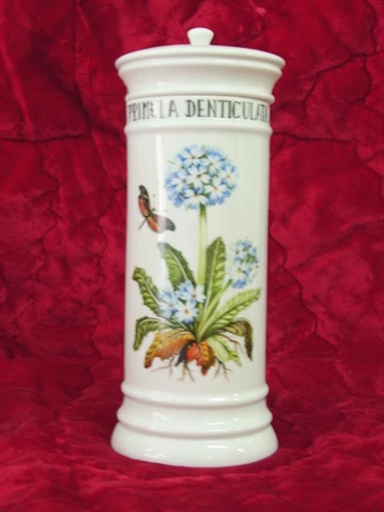 Kép Gyógynövényes tégely - Primula Denticulata